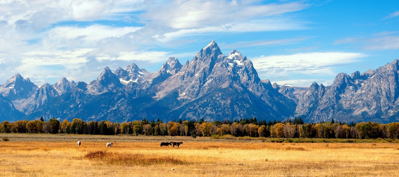 tetons long