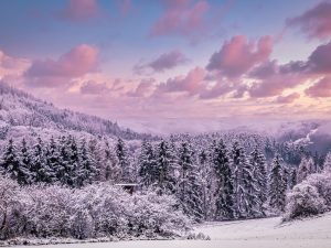Winter in Yellowstone